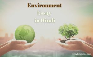 lifestyle for environment essay hindi