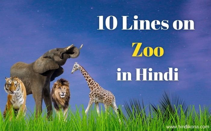 write an essay on zoo in hindi