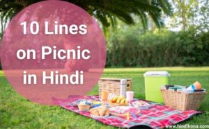 family picnic essay in hindi