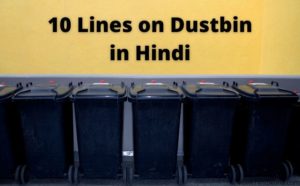 dustbin essay in hindi language