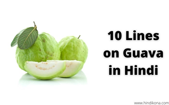 10 Lines on Guava in Hindi