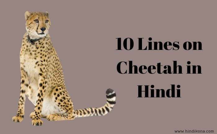 10 Lines on Cheetah in Hindi