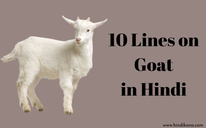 10 Lines on Goat in Hindi