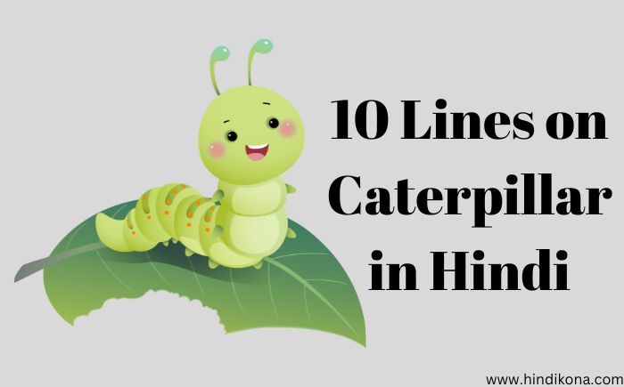 10 Lines on Caterpillar in Hindi