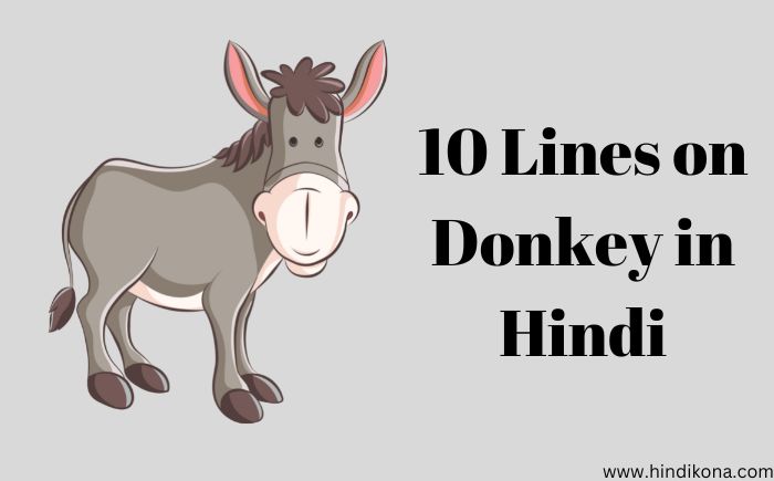 10 Lines on Donkey in Hindi