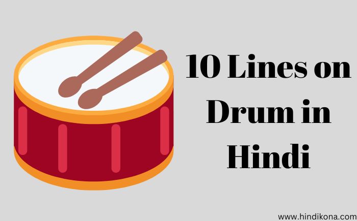 10 Lines on Drum in Hindi