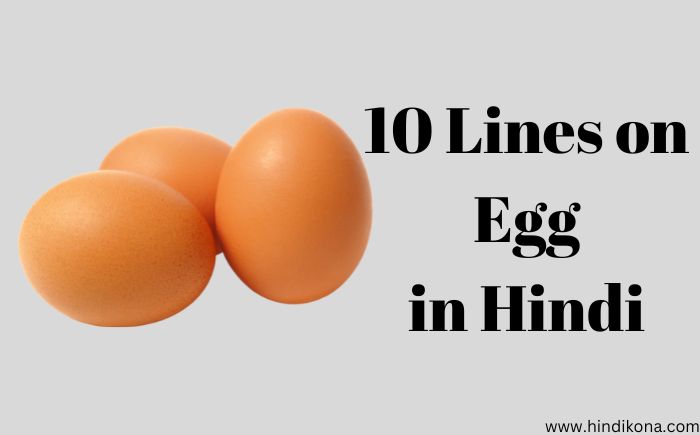 10 Lines on Egg in Hindi