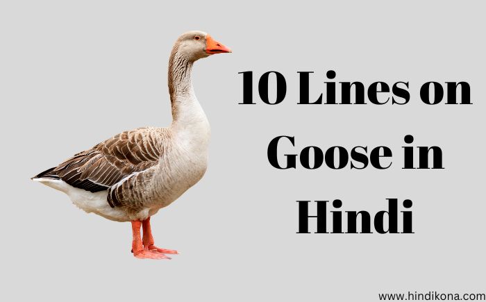 10 Lines on Goose in Hindi